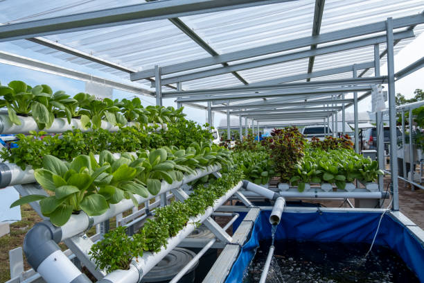 Aquaponics